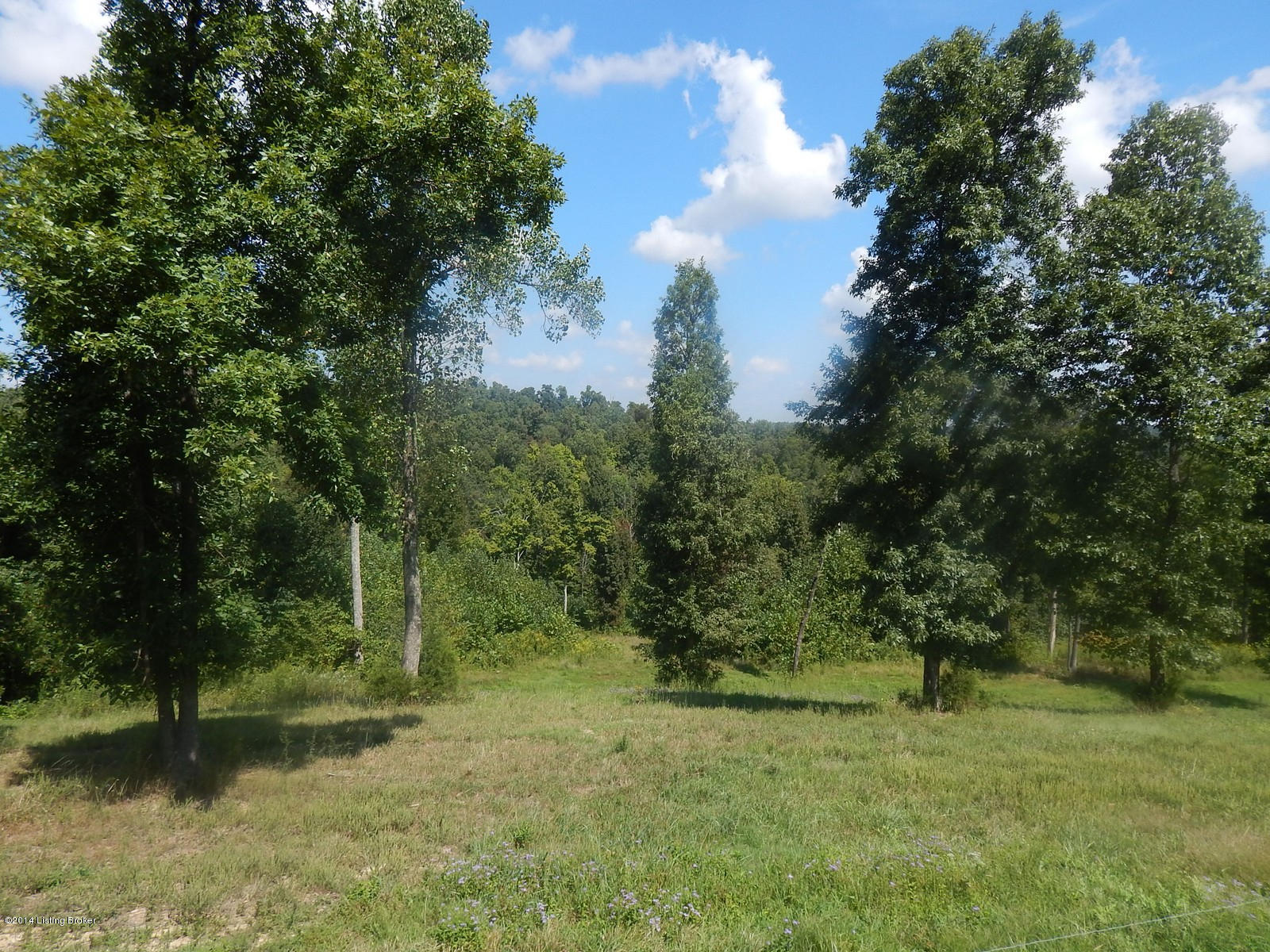 324 B Grant Road Leitchfield, KY 42754 - Photo 24 of 30 324 Grant Rd 58