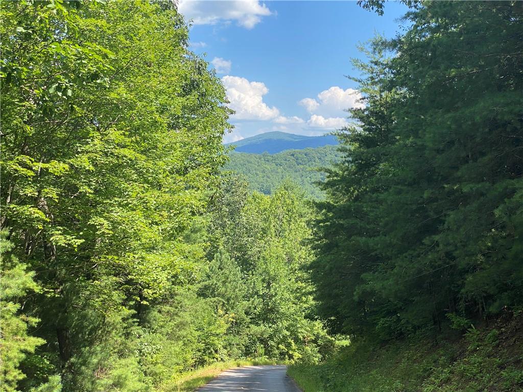 0 Sunrise Ridge Blairsville, GA 30512 - Photo 3 of 6 a view of a green yard