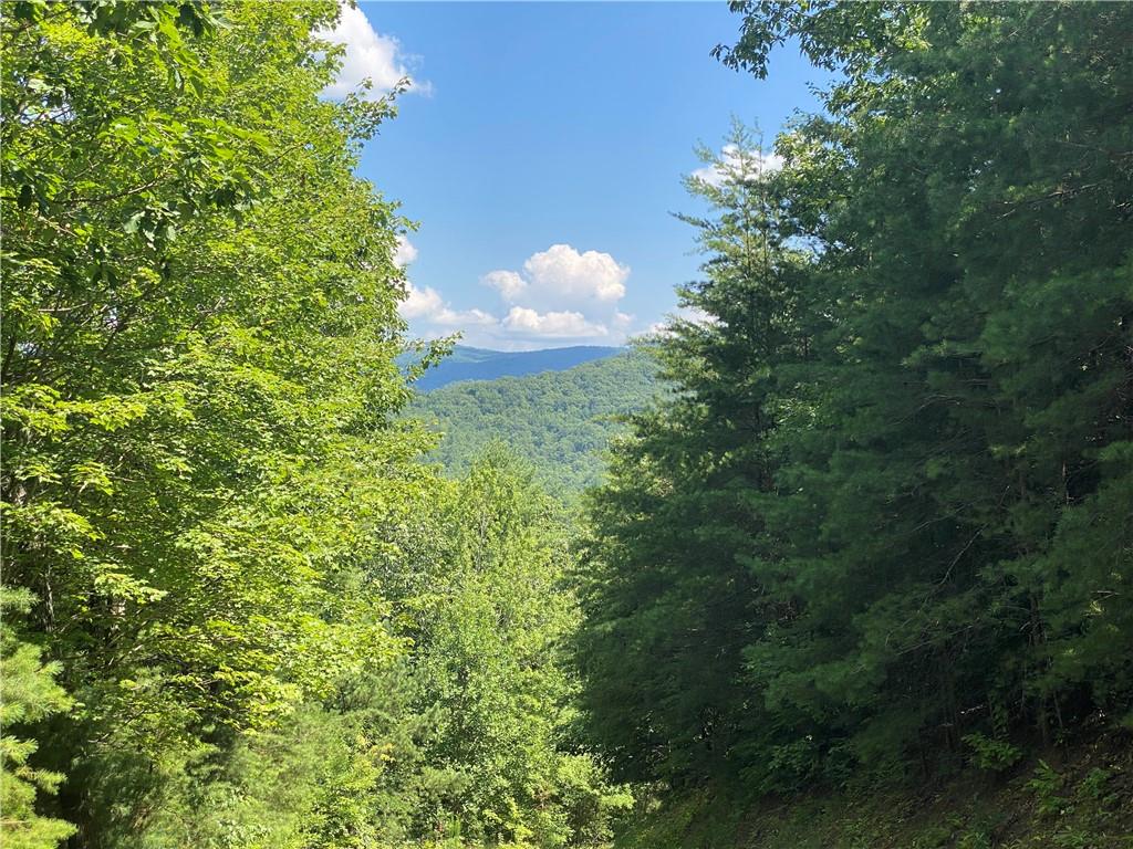 0 Sunrise Ridge Blairsville, GA 30512 - Photo 4 of 6 a view of a house in a forest