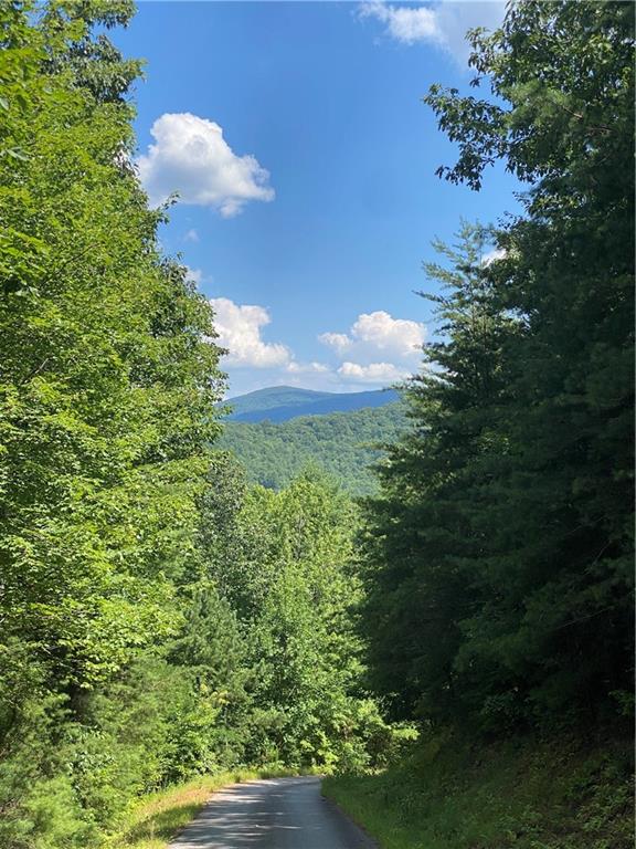 0 Sunrise Ridge Blairsville, GA 30512 - Photo 5 of 6