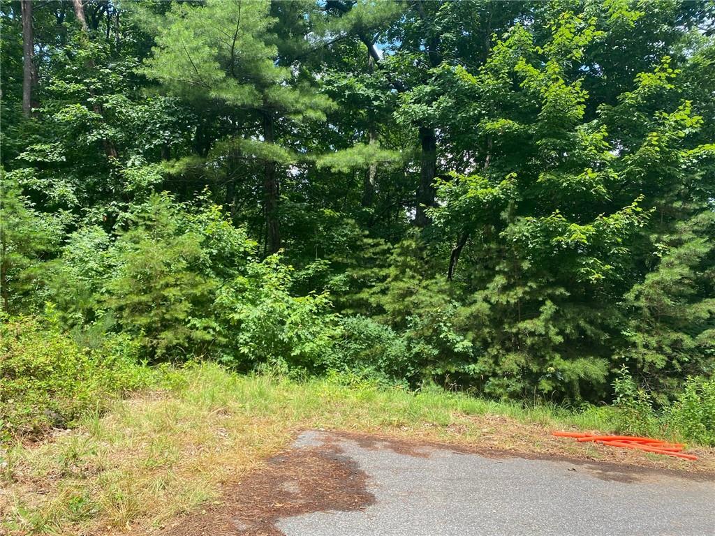 0 Sunrise Ridge Blairsville, GA 30512 - Photo 6 of 6 a view of a yard with plants and large trees