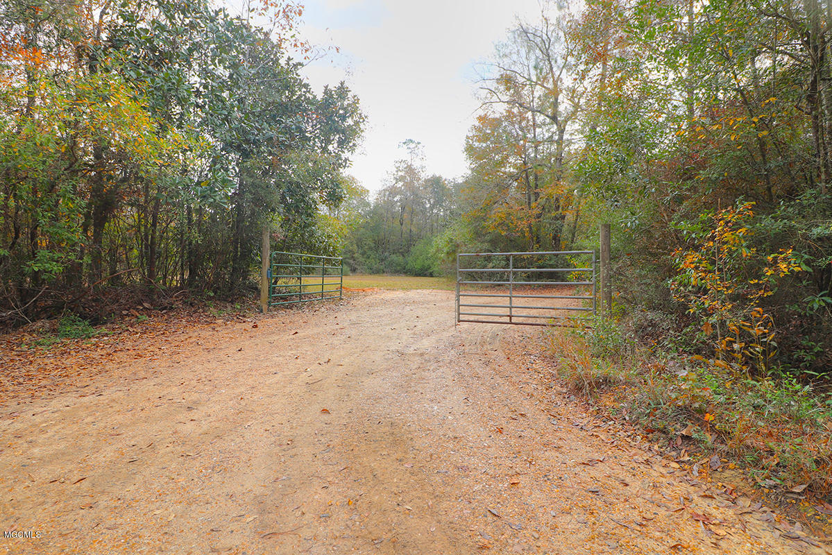 40 Price Road Perkinston, MS 39573 - Photo 2 of 7 Front gate