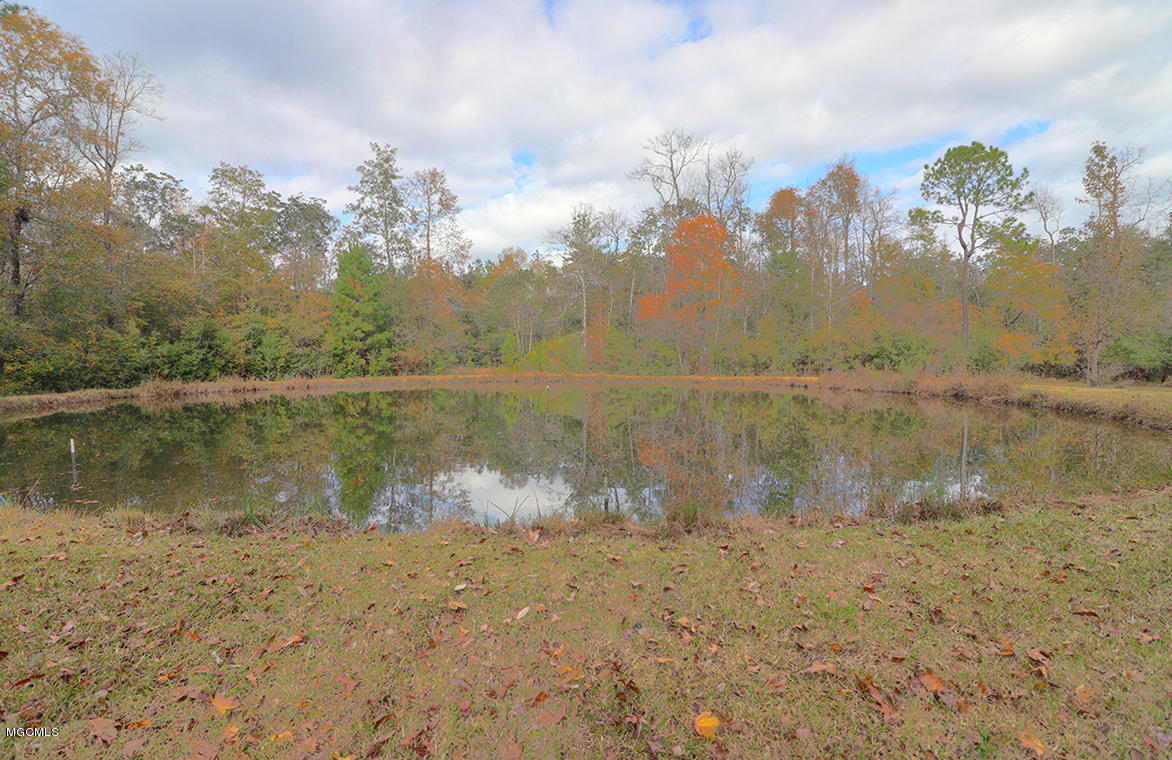 40 Price Road Perkinston, MS 39573 - Photo 4 of 7 Quiet reflecting pond