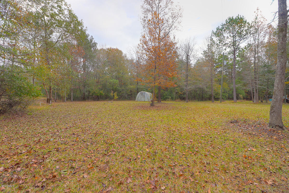 40 Price Road Perkinston, MS 39573 - Photo 5 of 7 Greenhouse