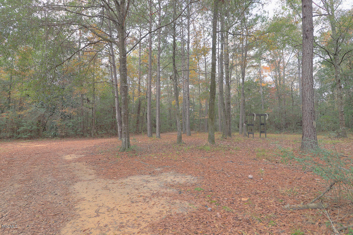 40 Price Road Perkinston, MS 39573 - Photo 7 of 7 Plenty of space