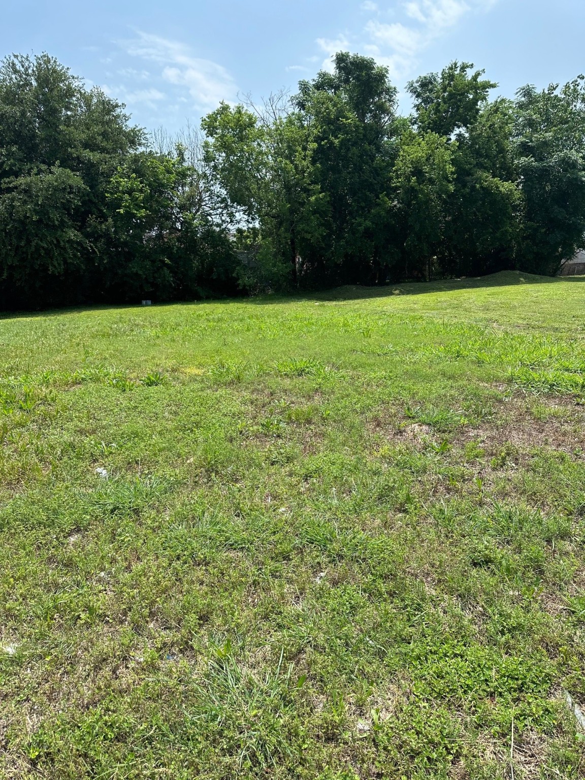 3501 Sampson Street Houston, TX 77004 - Photo 3 of 6