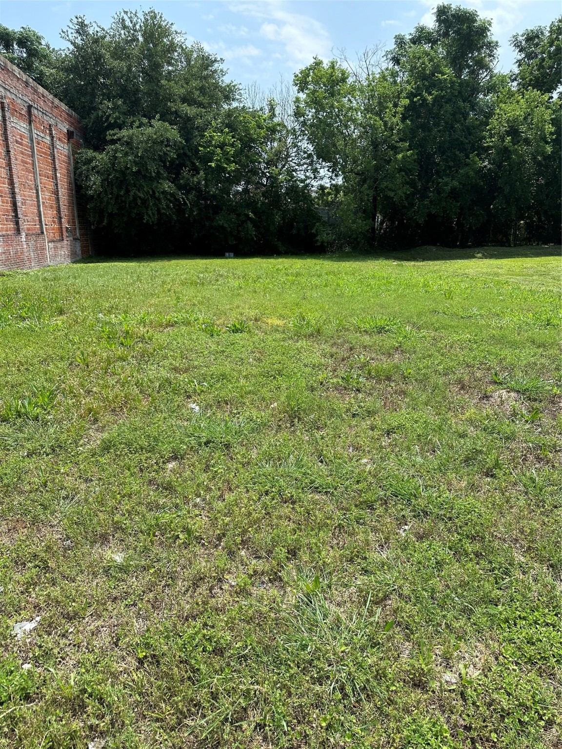 3501 Sampson Street Houston, TX 77004 - Photo 6 of 6