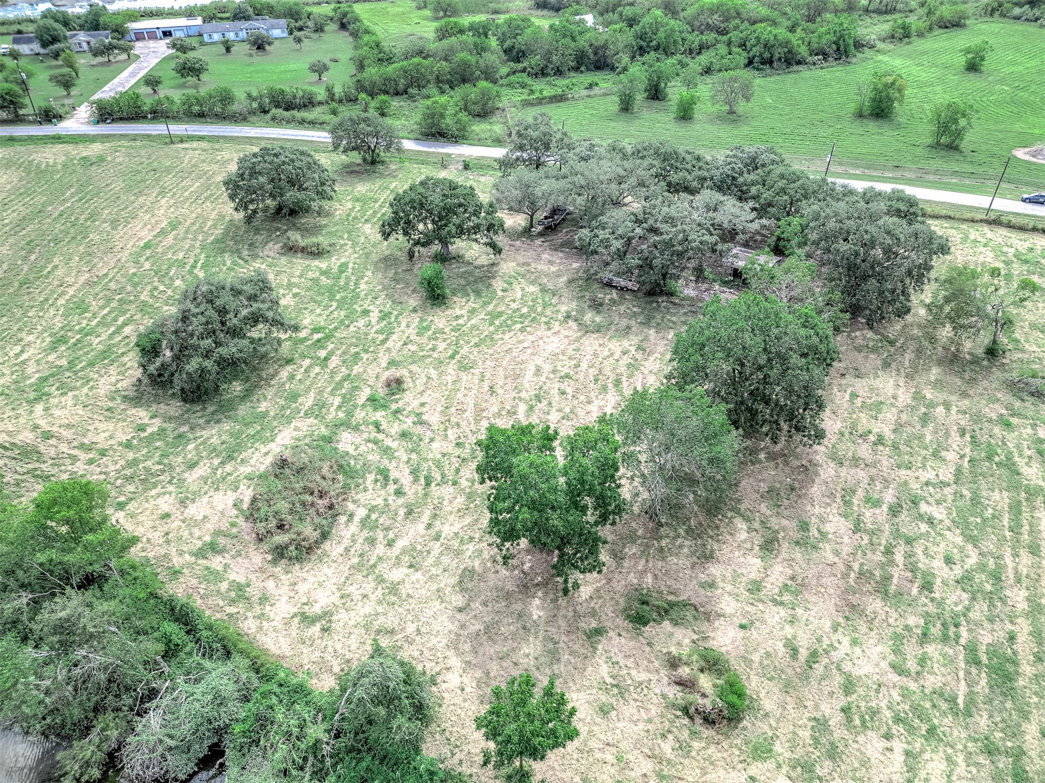 2230 Duncan Drive Freeport, TX 77541 - Photo 9 of 12 a view of a lush green forest with lots of trees