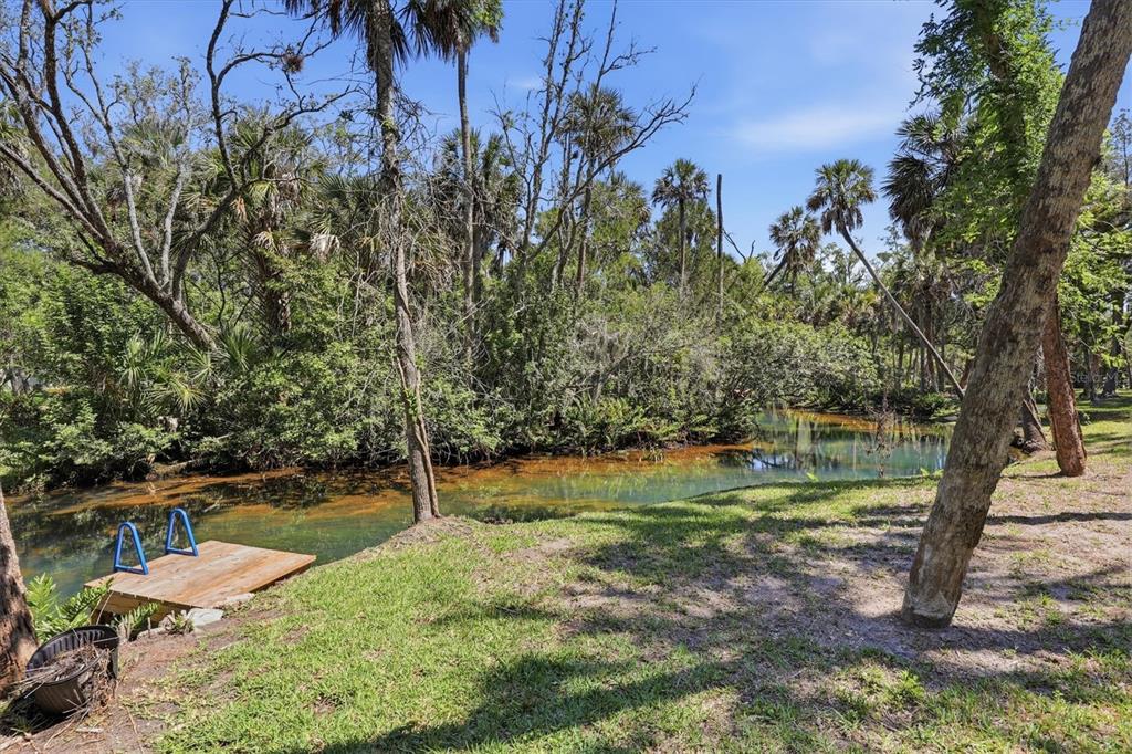 6244 Colony Circle Weeki Wachee, FL 34607 - Photo 14 of 60 a backyard of a house with table and chairs