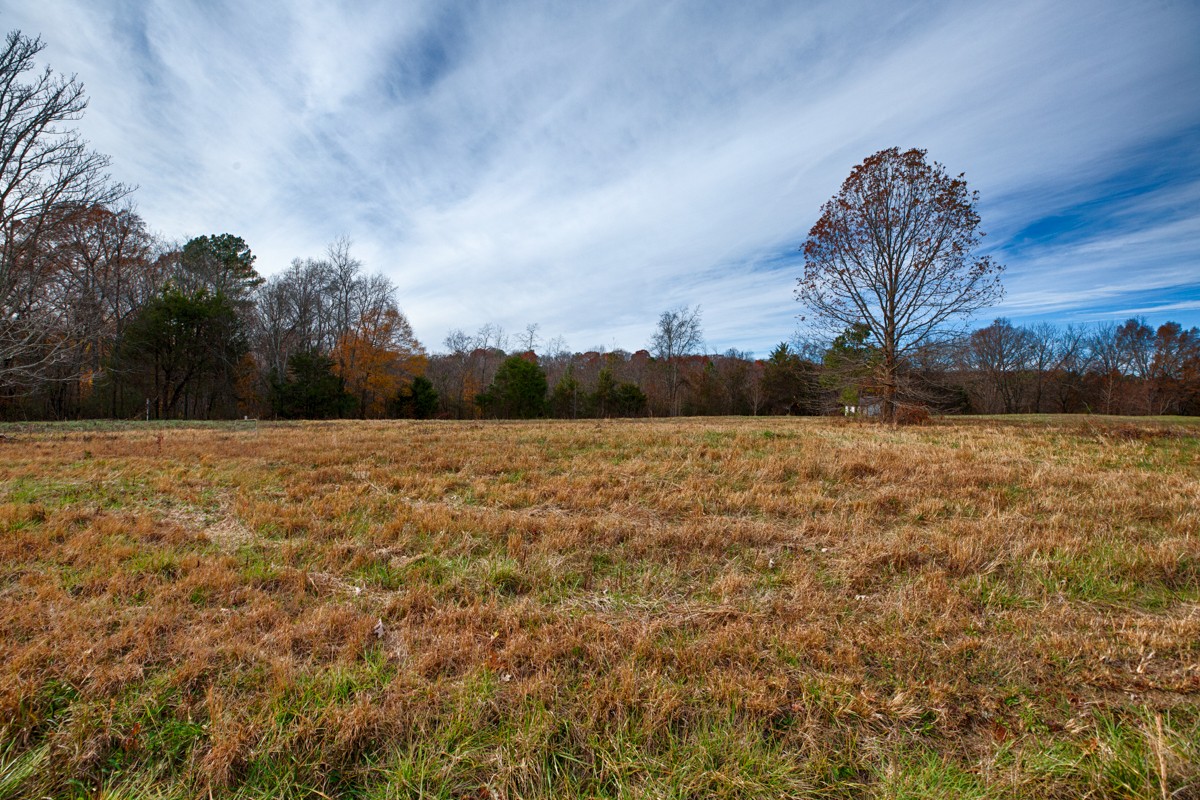 0 Hobbs Loop Ardmore, AL 35739 - Photo 2 of 7 a backyard of a house