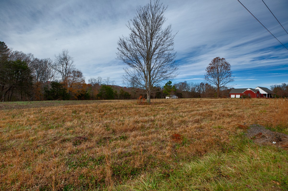 0 Hobbs Loop Ardmore, AL 35739 - Photo 4 of 7 a backyard of a house with lots of green space