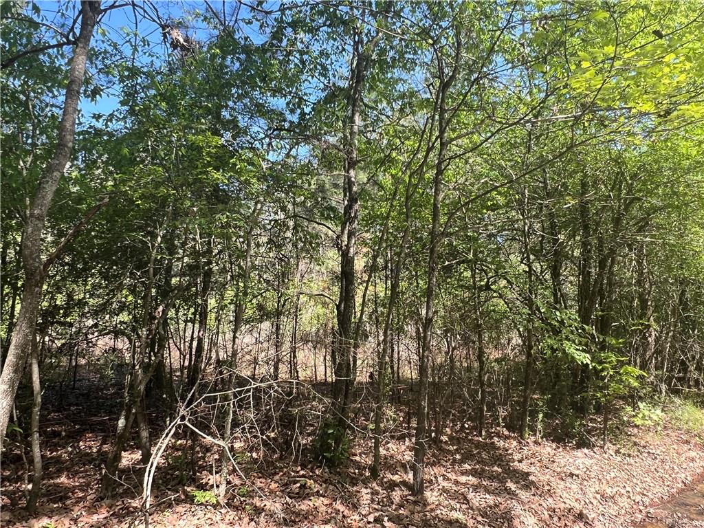 0 Nation Road Deville, LA 71328 - Photo 4 of 8