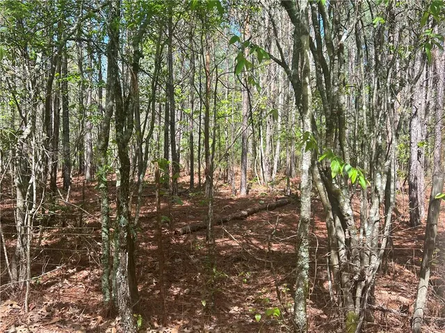 $60,000 | 0 Nation Road, Deville, LA 71328