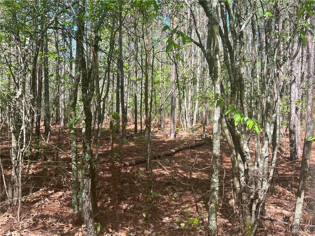 0 Nation Road Deville, LA 71328 - Photo 8 of 8