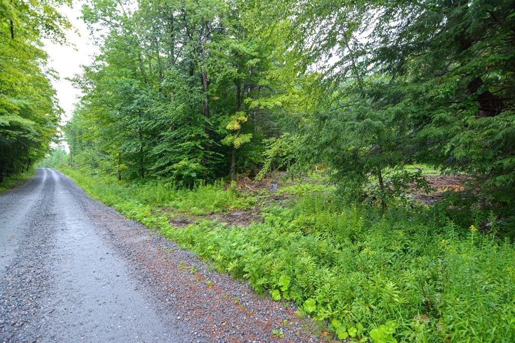 171 Arthur Pease Road Chester, MA 01011 - Photo 1 of 13 a view of a garden with plants