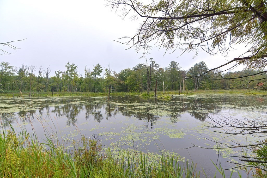 171 Arthur Pease Road Chester, MA 01011 - Photo 13 of 13 a view of lake with green space