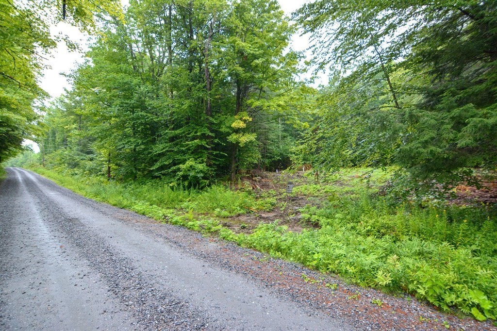 171 Arthur Pease Road Chester, MA 01011 - Photo 2 of 13 a view of a garden with plants