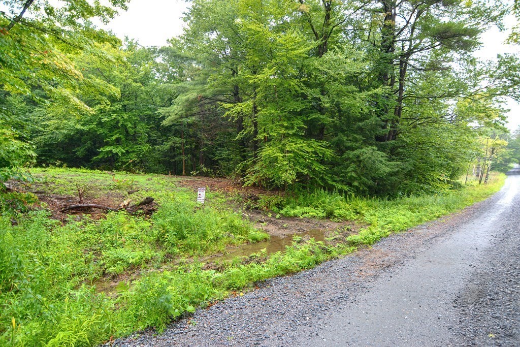 171 Arthur Pease Road Chester, MA 01011 - Photo 3 of 13 a backyard of a house with a yard and potted plants