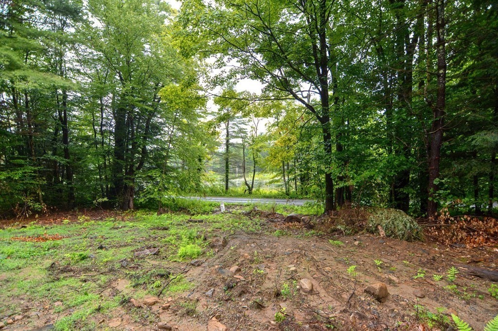171 Arthur Pease Road Chester, MA 01011 - Photo 5 of 13 a view of a trees with a yard