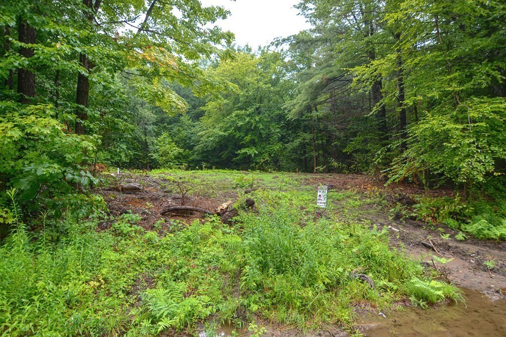 171 Arthur Pease Road Chester, MA 01011 - Photo 6 of 13 a view of outdoor space with deck and yard