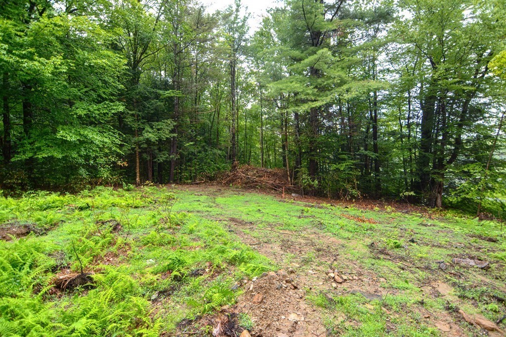 171 Arthur Pease Road Chester, MA 01011 - Photo 9 of 13 a view of backyard with green space