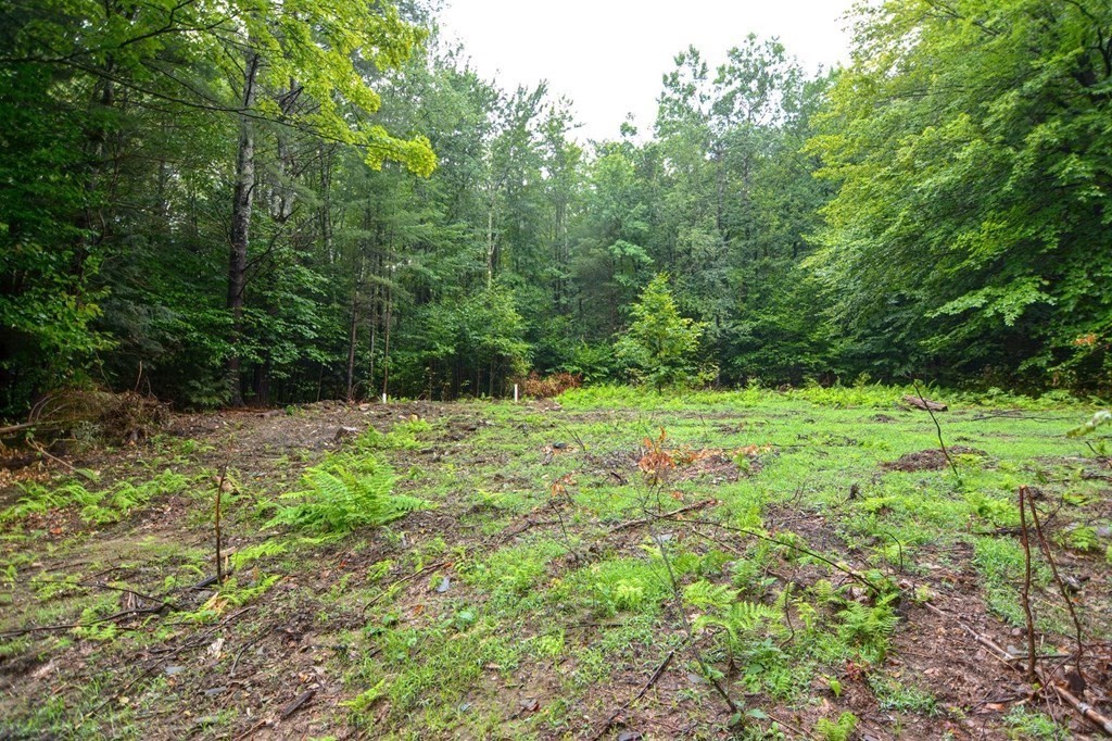 171 Arthur Pease Road Chester, MA 01011 - Photo 10 of 13 a view of outdoor space with deck and yard