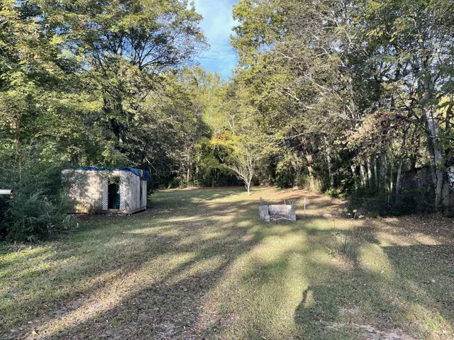 a view of a backyard