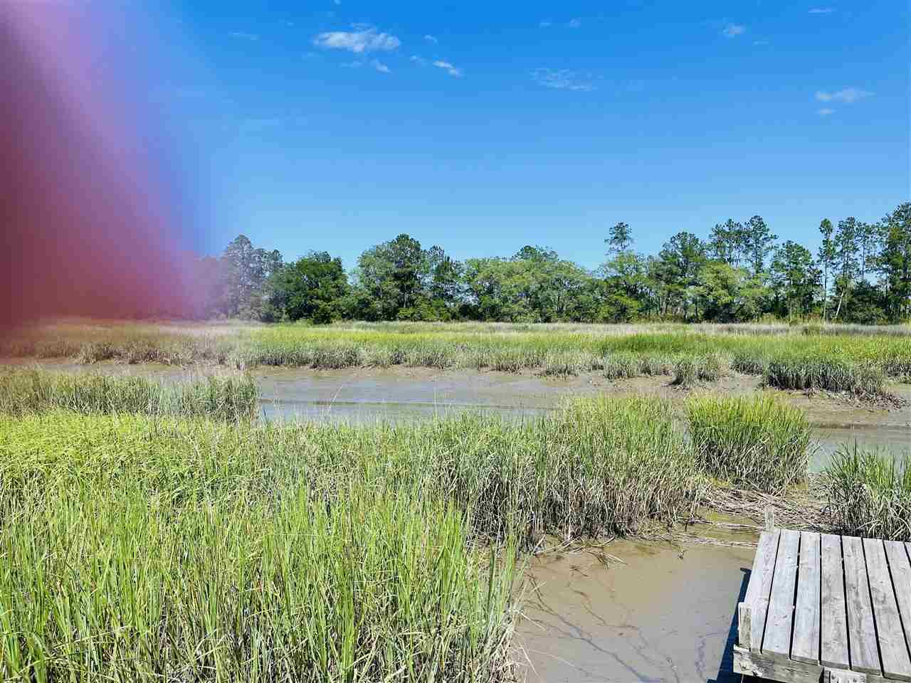 3297 Horseshoe Cove Road Waverly, GA 31565 - Photo 20 of 22