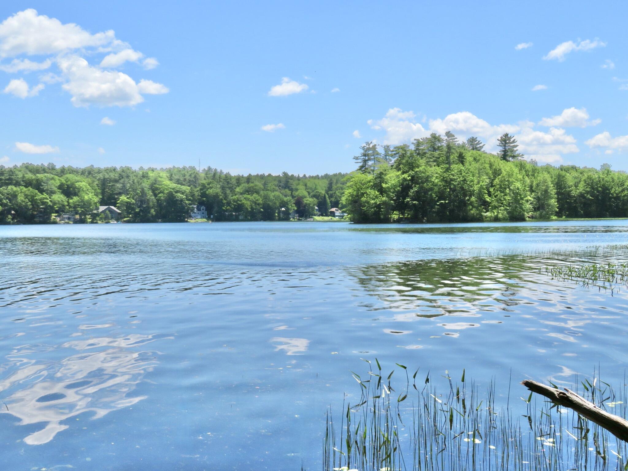 22 Dow Lane Windham, ME 04062 - Photo 2 of 21 IMG_5922