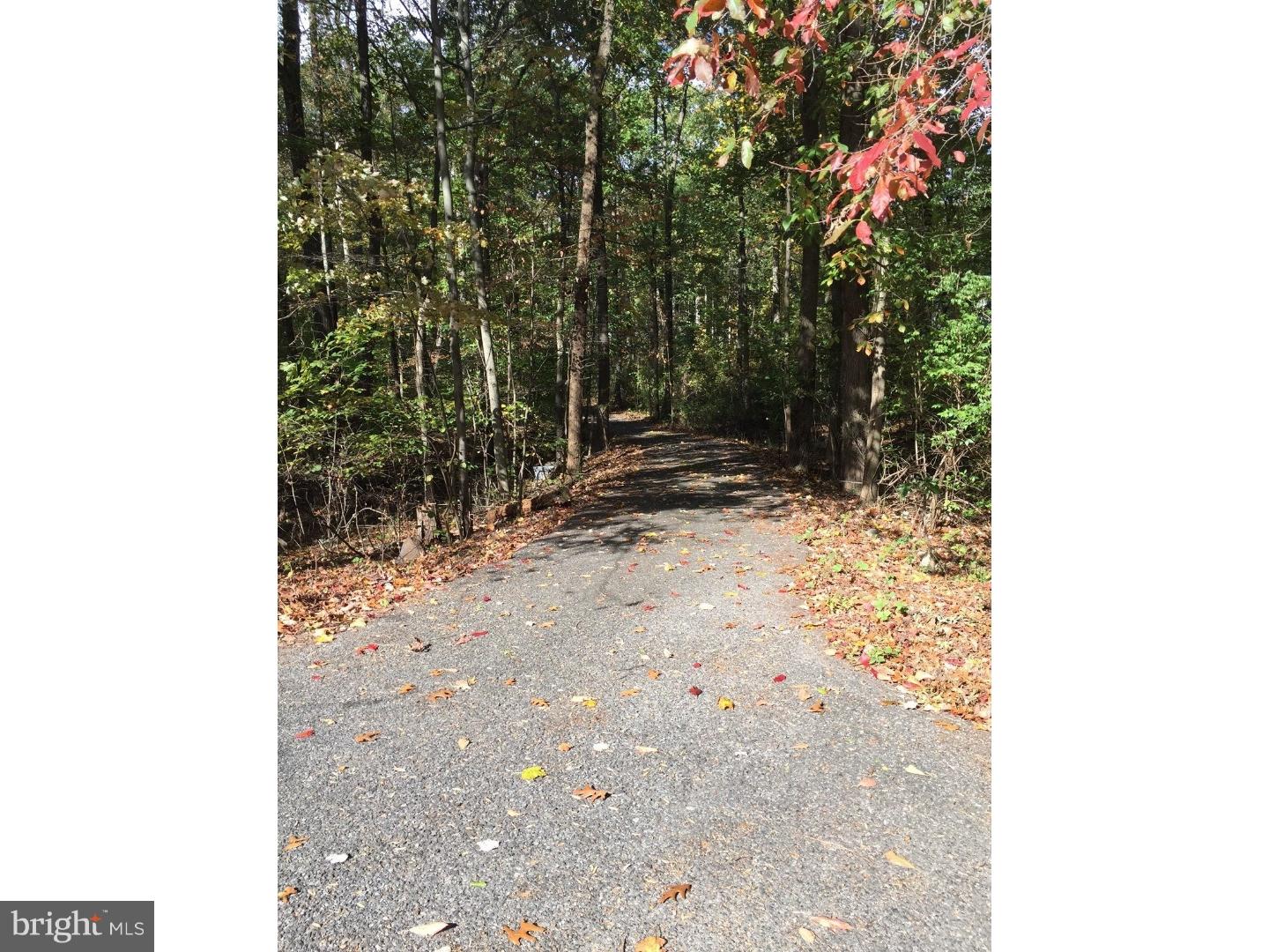 68 Overlook Road Morgantown, PA 19543 - Photo 17 of 18 Driveway