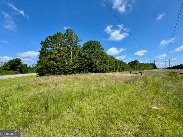 a view of a yard with an tree
