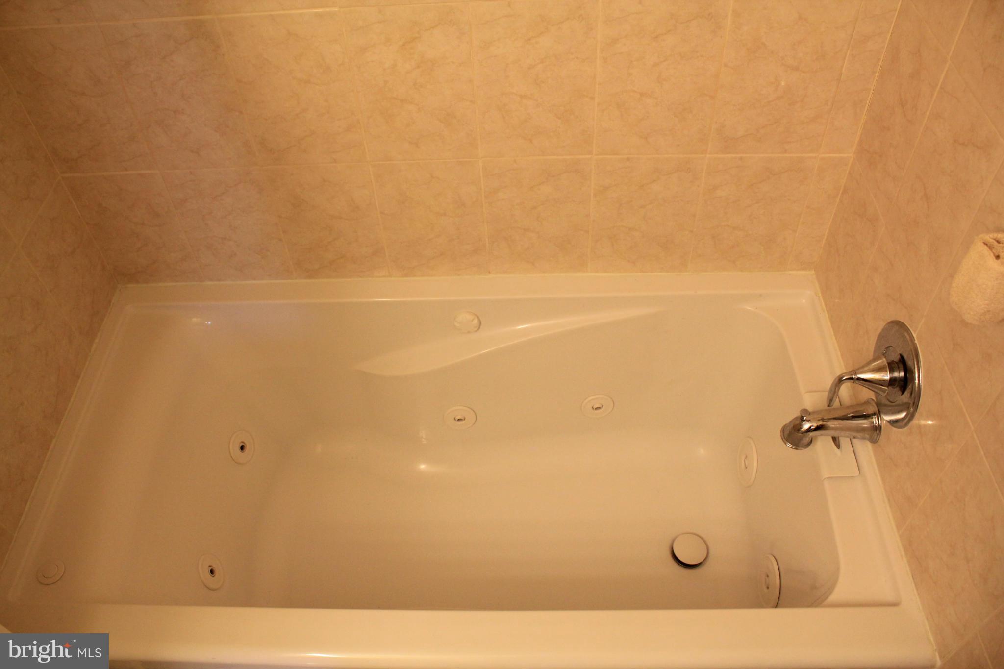 3522 Powder Mill Road, Unit 22 Beltsville, MD 20705 - Photo 17 of 24 Bath (Master)