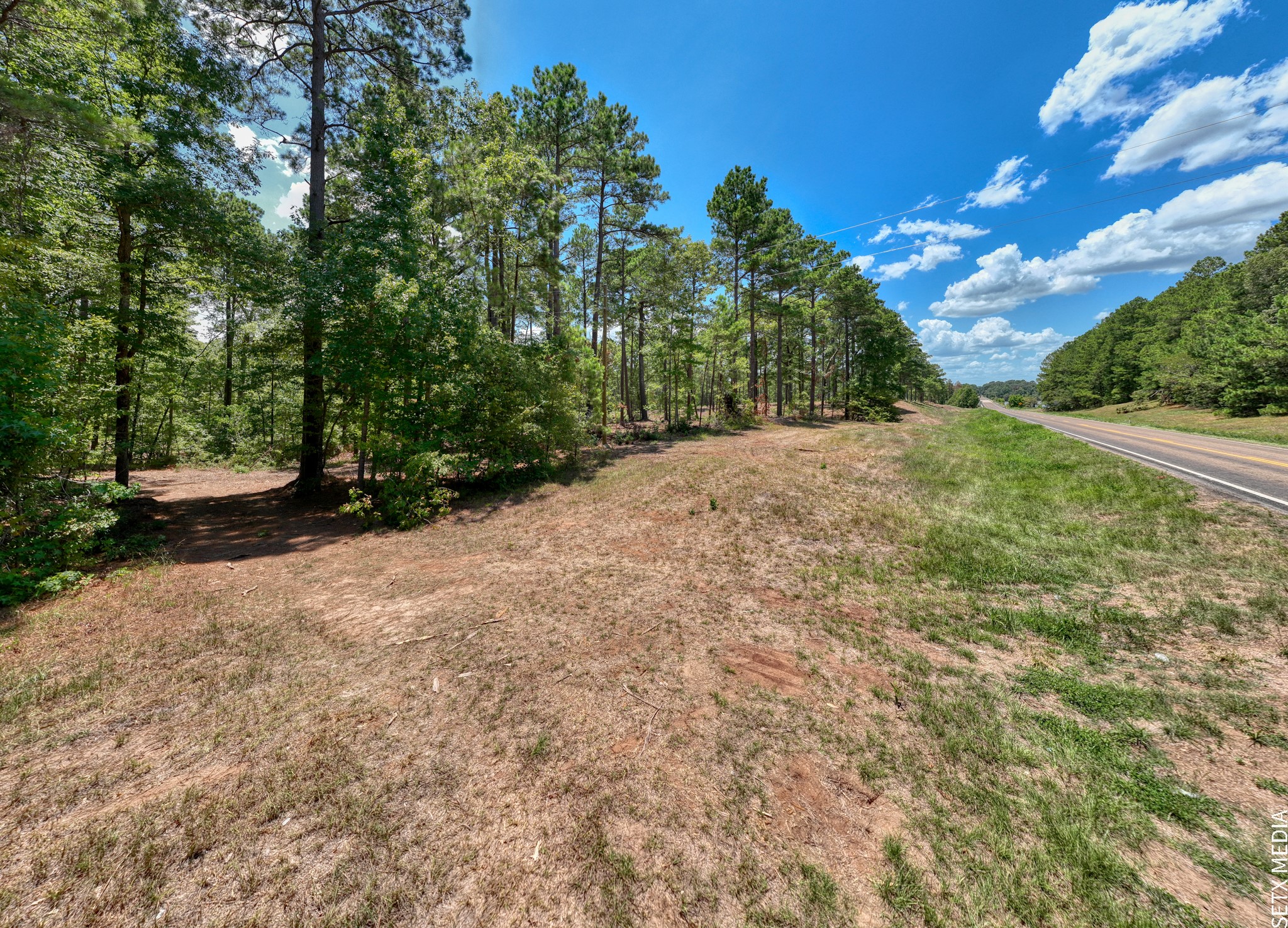 22157 Fm 83 Bronson, TX 75930 - Photo 7 of 17 a view of a yard with plants and large trees
