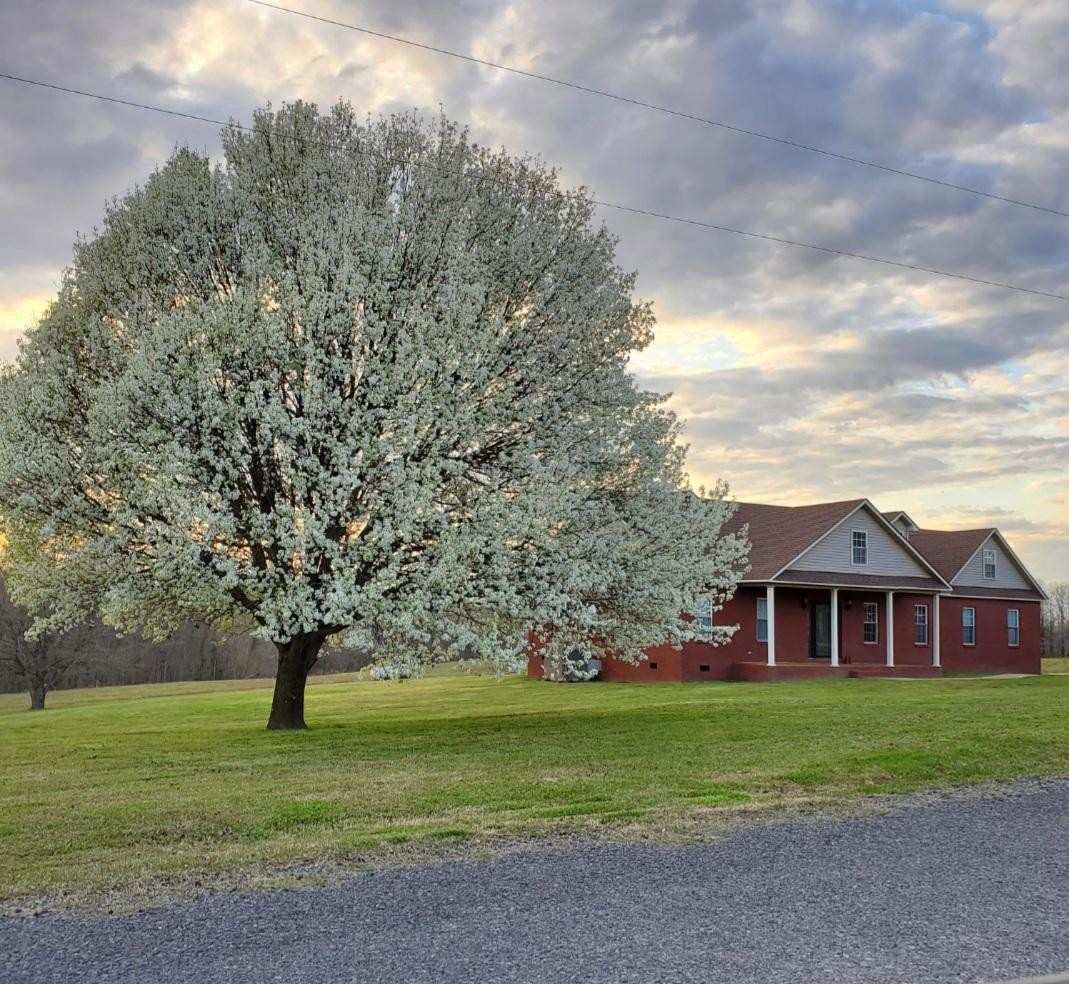 800 Backout Road Newbern, TN 38059 - Photo 1 of 13