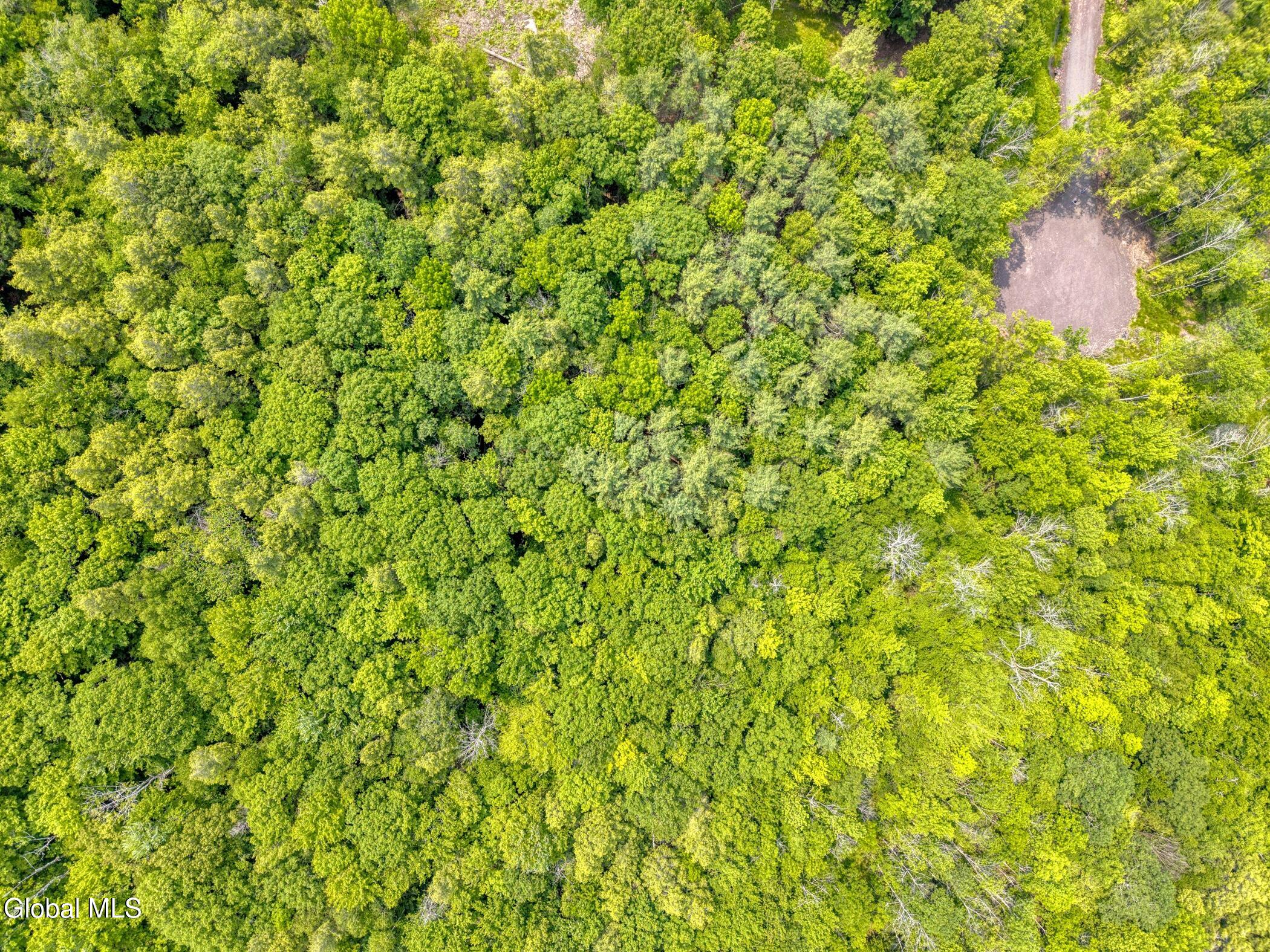 Tbd Boulder Brook Road, Unit LOT # 10 Windham, NY 12496 - Photo 30 of 31 Image-49