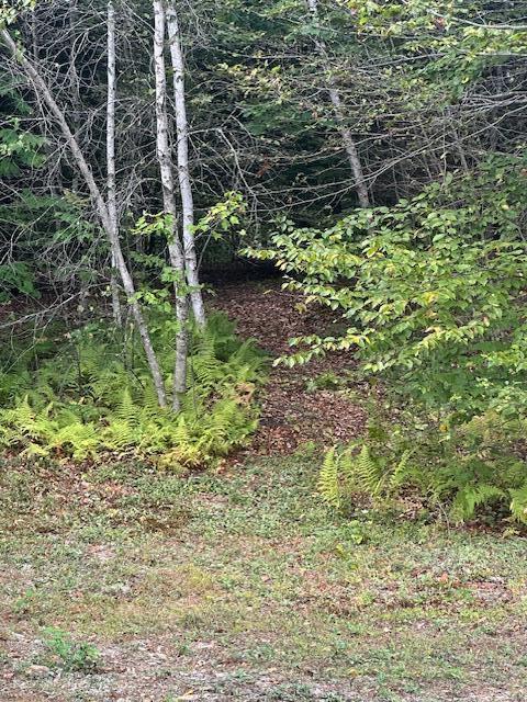 128 Cross Road China, ME 04358 - Photo 13 of 55 Established Paths