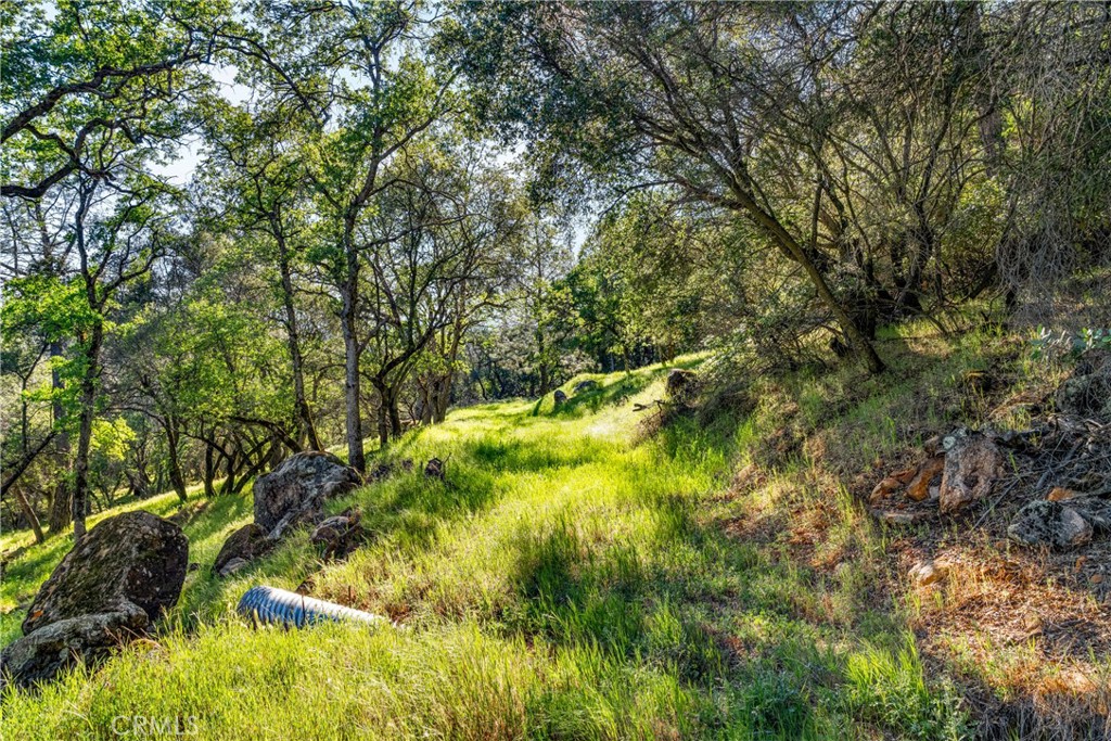0 Iron Mine Road Auburn, CA 95602 - Photo 18 of 31 Gallery Image 18