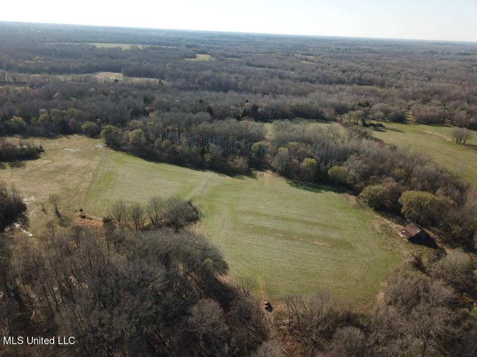 0 Breedlove Road Michigan City, MS 38647 - Photo 4 of 11 unnamed (7)