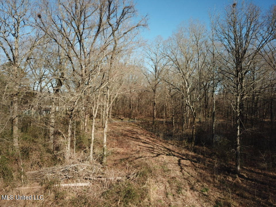0 Breedlove Road Michigan City, MS 38647 - Photo 10 of 11 unnamed (6)