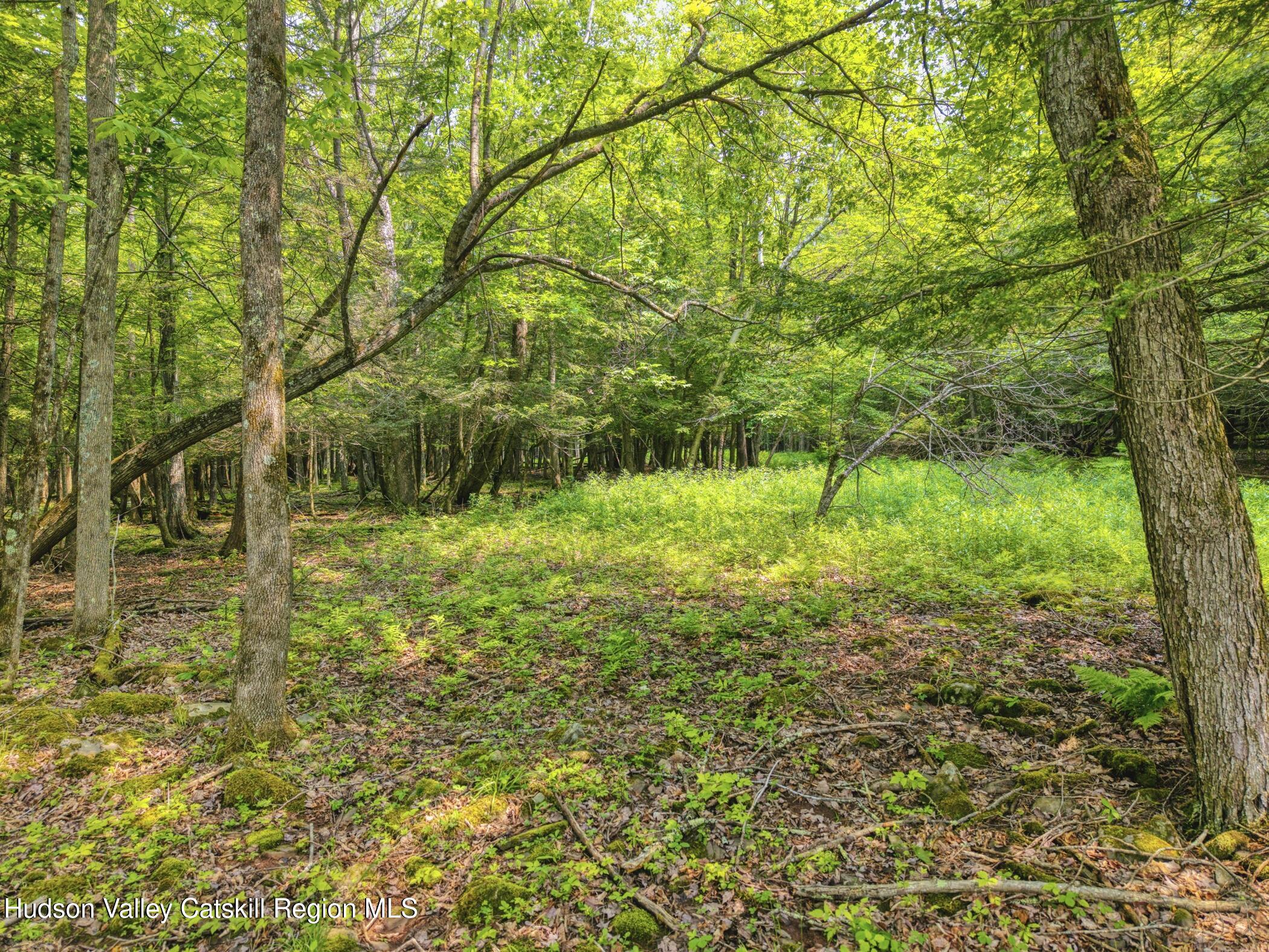 Tbd Boulder Brook Road Windham, NY 12496 - Photo 67 of 78 Image-56