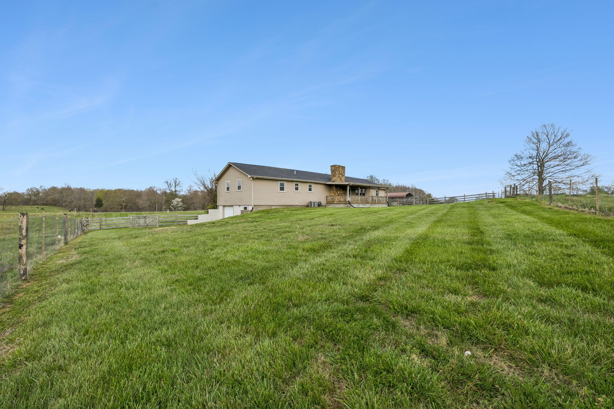 901 Town Branch Road Charlotte, TN 37036 - Photo 51 of 87 a view of a big yard with potted plants and large tree