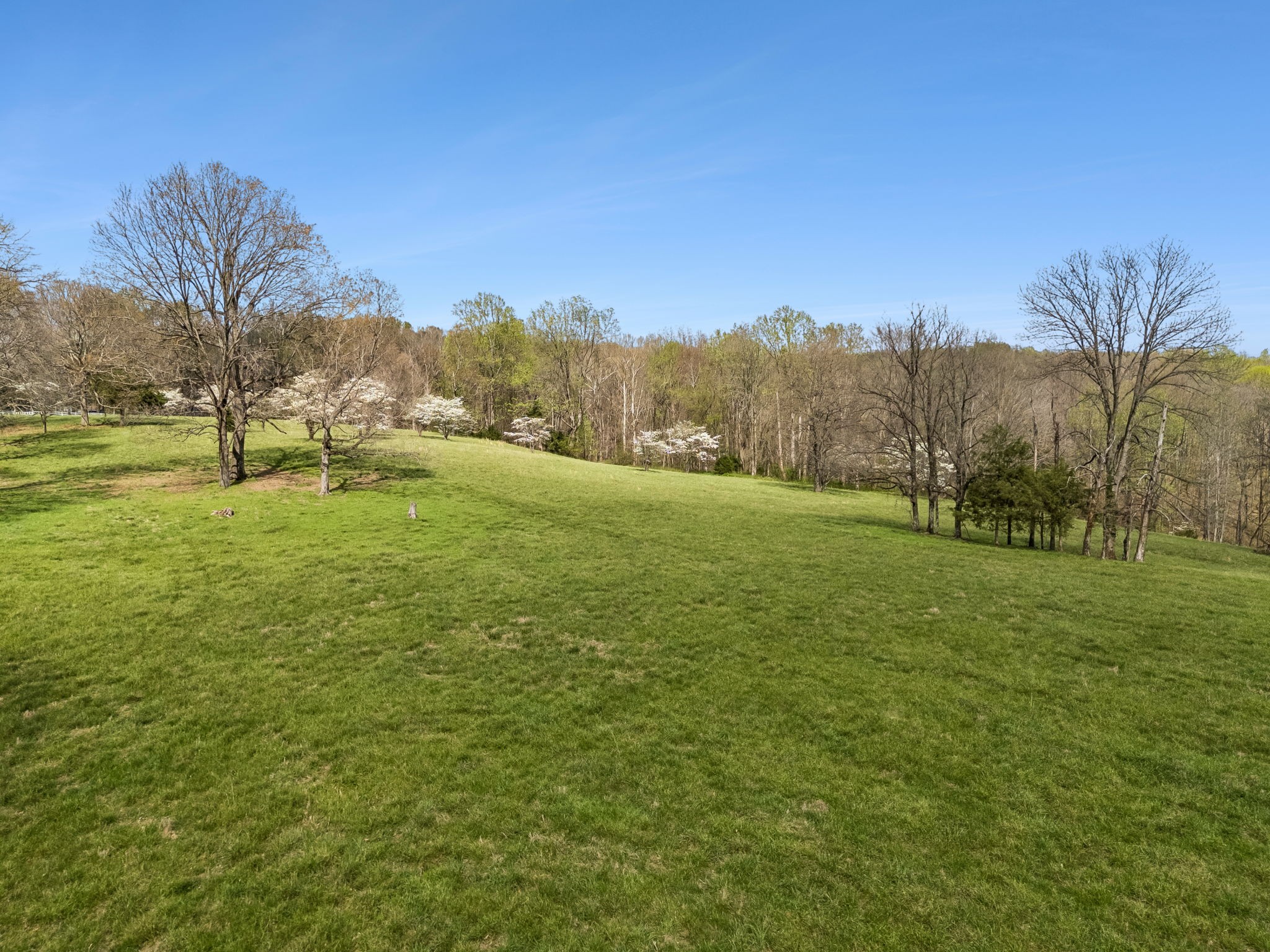 901 Town Branch Road Charlotte, TN 37036 - Photo 71 of 87 a view of an outdoor space and yard
