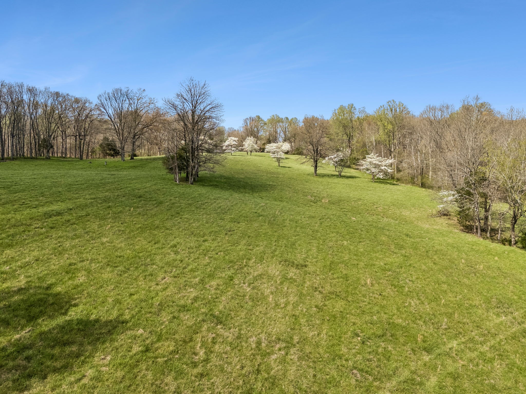 901 Town Branch Road Charlotte, TN 37036 - Photo 73 of 87 a view of a field with trees in the background