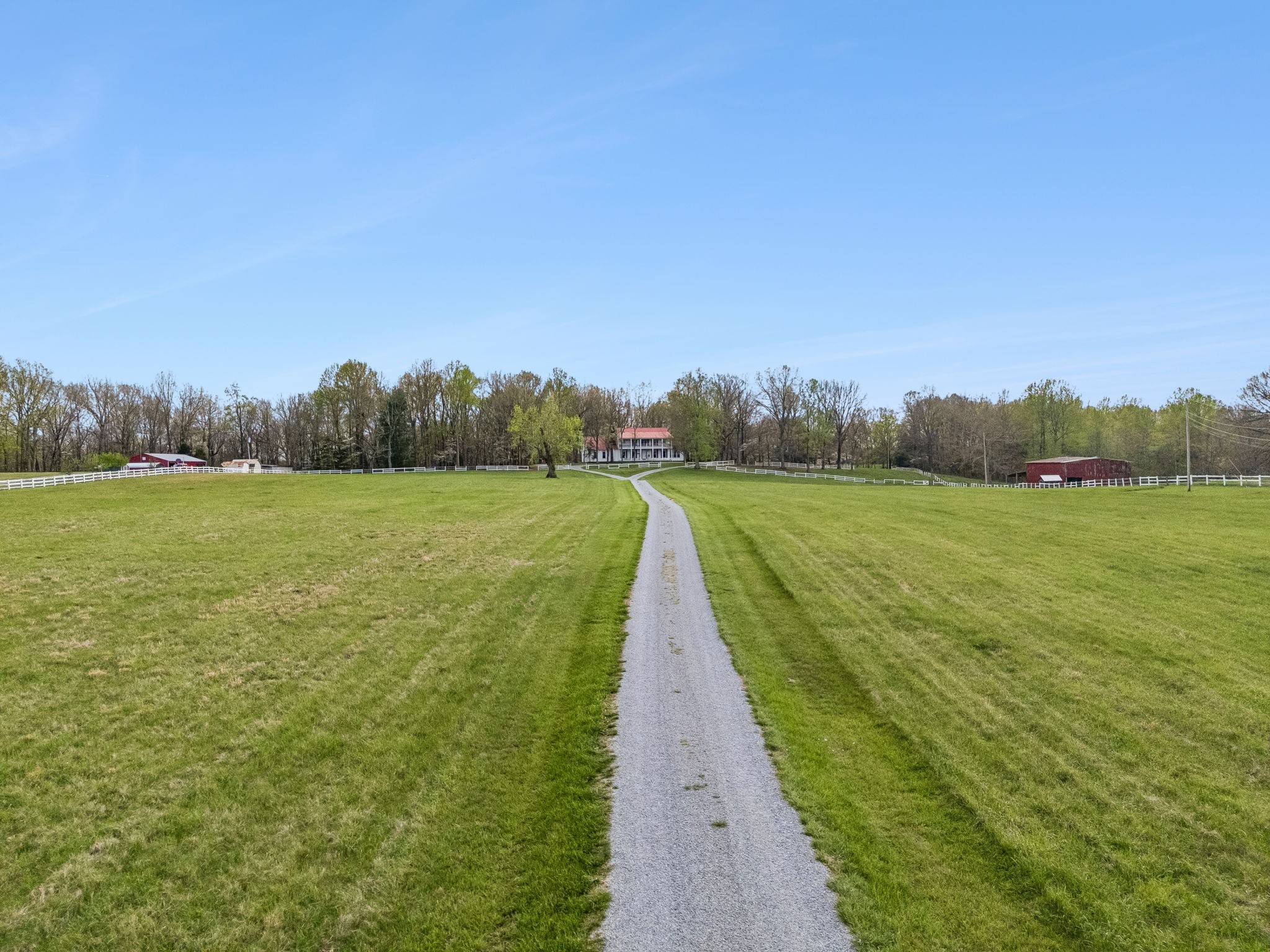901 Town Branch Road Charlotte, TN 37036 - Photo 81 of 87 a view of a grassy field with an trees