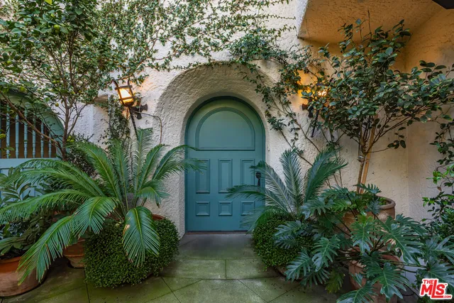 a view of a yard with plants and tree