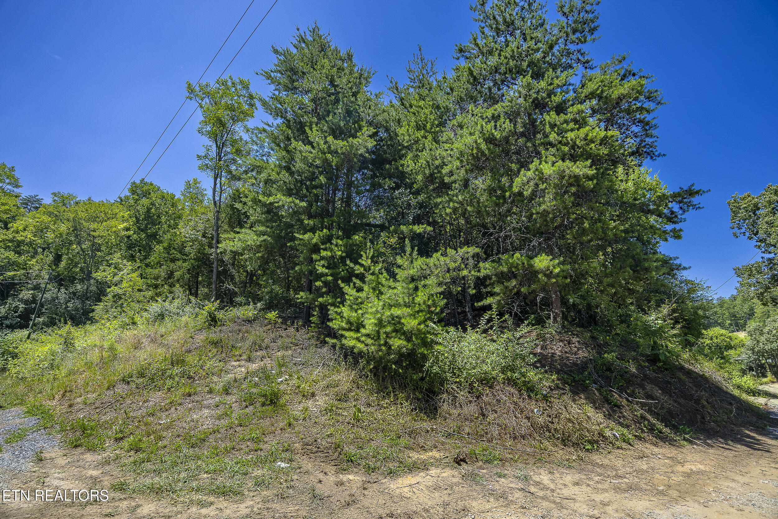 Raejon Way Sevierville, TN 37862 - Photo 4 of 39 006A7351-HDR