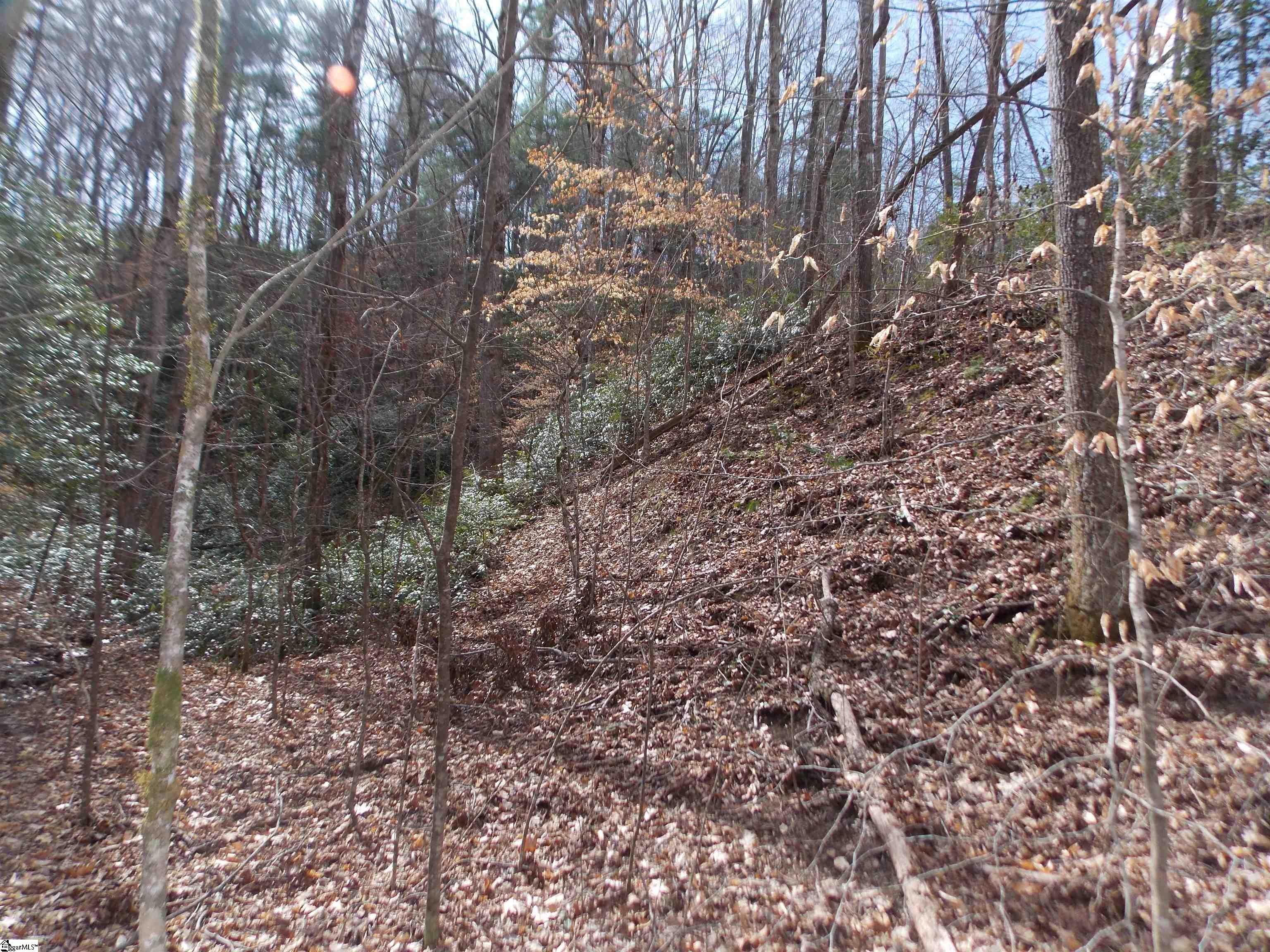 0 Holloway Road Marietta, SC 29661 - Photo 11 of 50