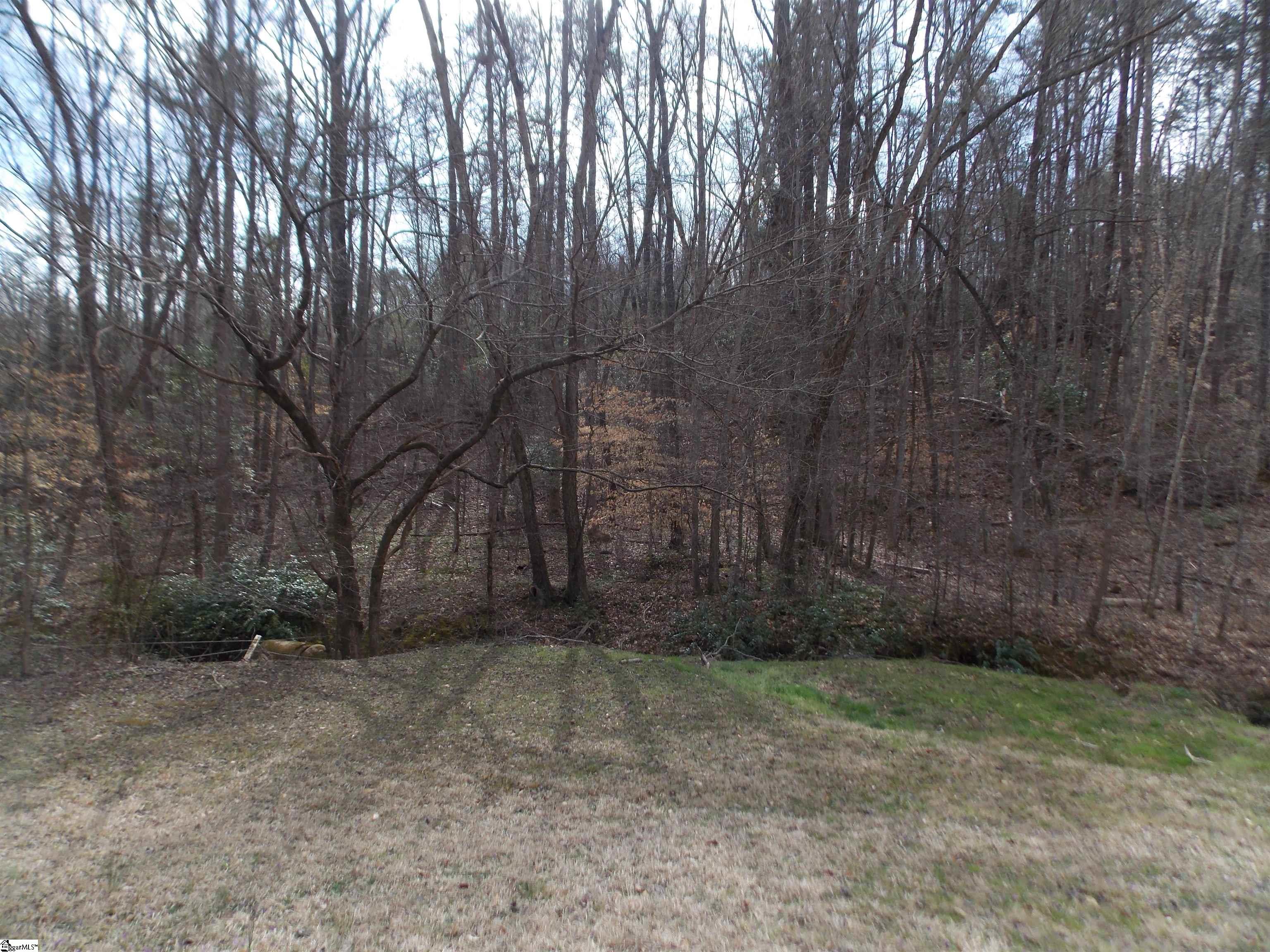 0 Holloway Road Marietta, SC 29661 - Photo 13 of 50