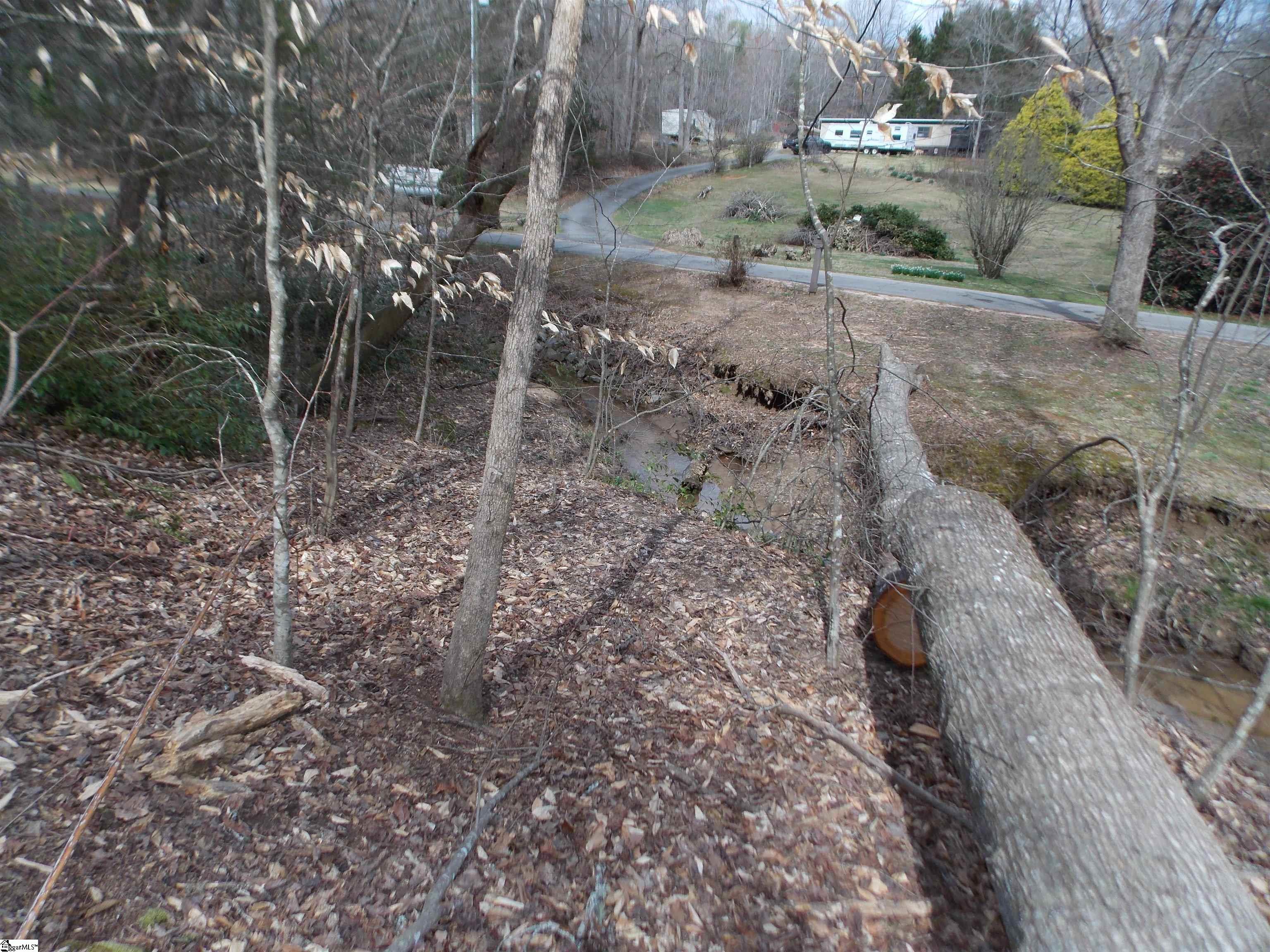 0 Holloway Road Marietta, SC 29661 - Photo 19 of 50