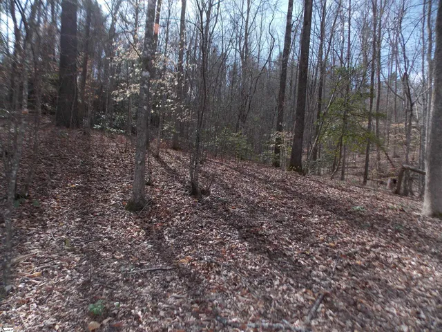 $89,500 | 0 Holloway Road, Marietta, SC 29661